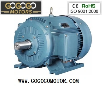 IEC Ie3 Ie2 Ye3 Series 220V 230V 240V 380V 400V 415V 440V 575V 660V Electric Motor for Pump Fans Universal Machines High Efficiency Motor