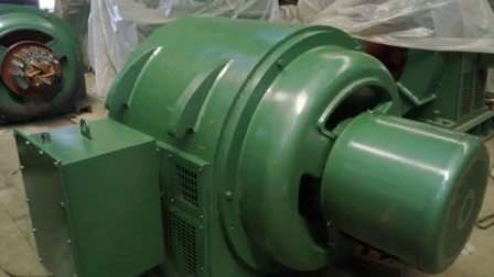 Motor de indução de anel deslizante de tamanho grande ano 2300 V
